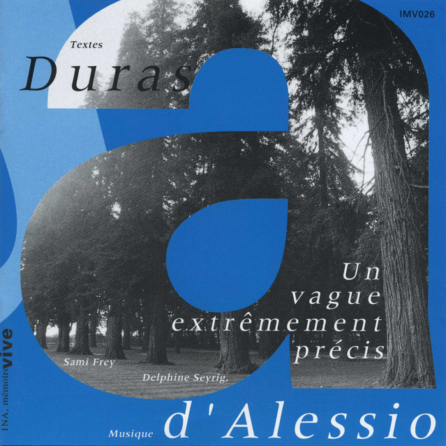 Un vague extrêmement précis cover art