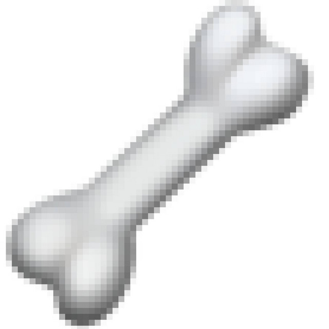 bones