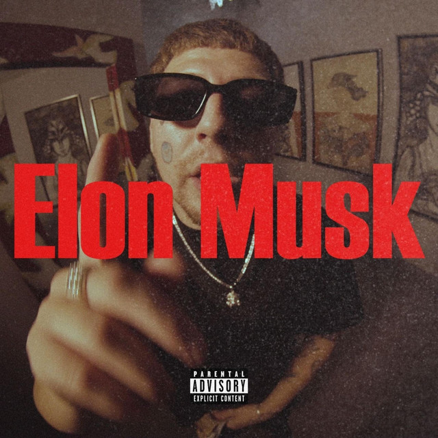 Elon Musk album image