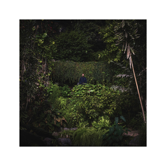 Ritmo da Procura cover art