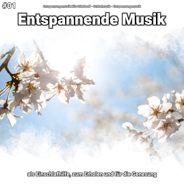 Entspannende Musik, Pt. 67 - song and lyrics by Entspannungsmusik Nils ...
