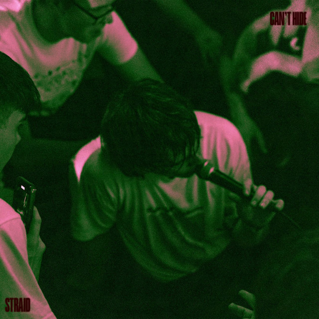 Can't Hide cover