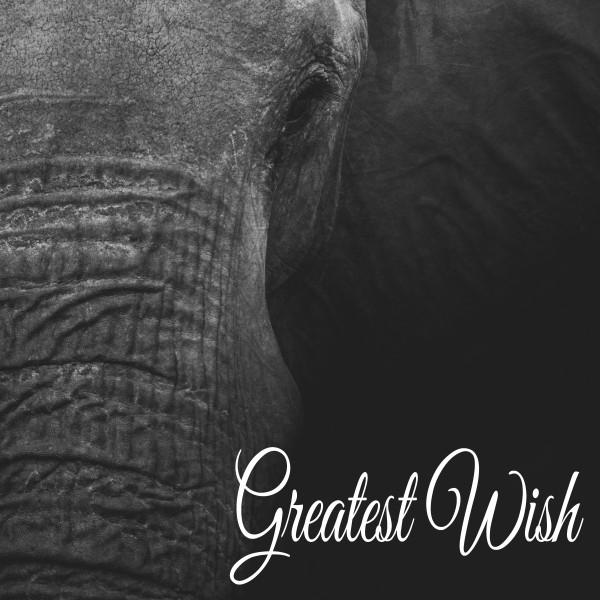 Greatest Wish cover art
