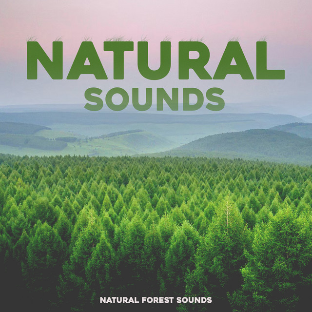 Natural Sounds - Album by Natural Forest Sounds | Spotify