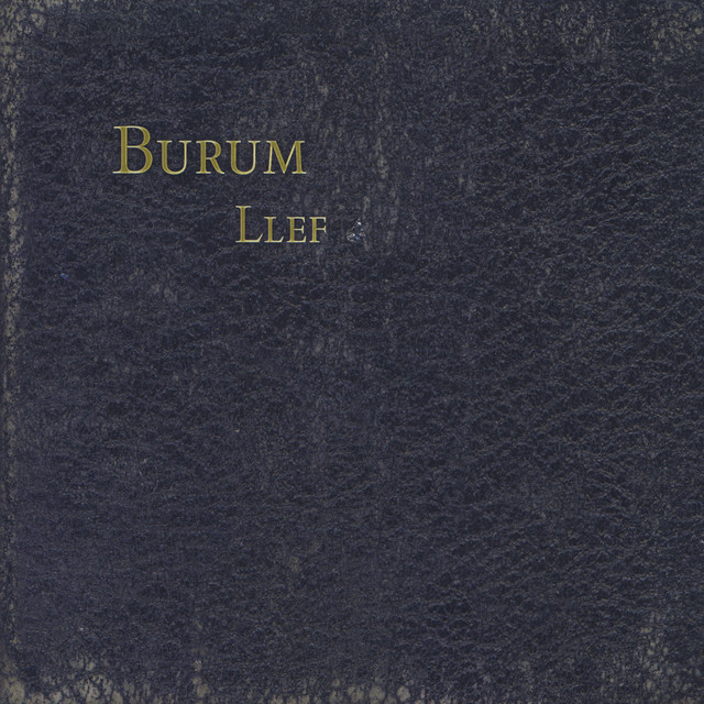 Llef cover art