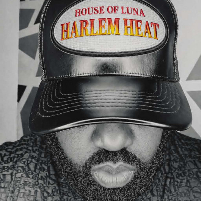 HARLEM HEAT (Radio Edit) artwork