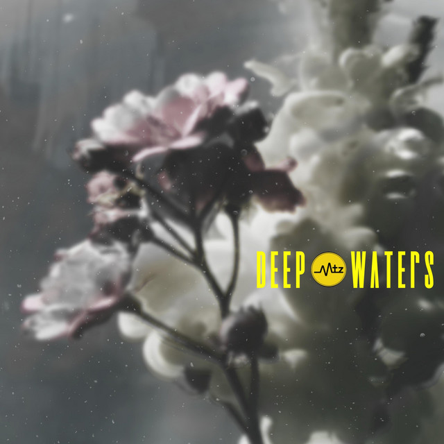Deep Waters cover art