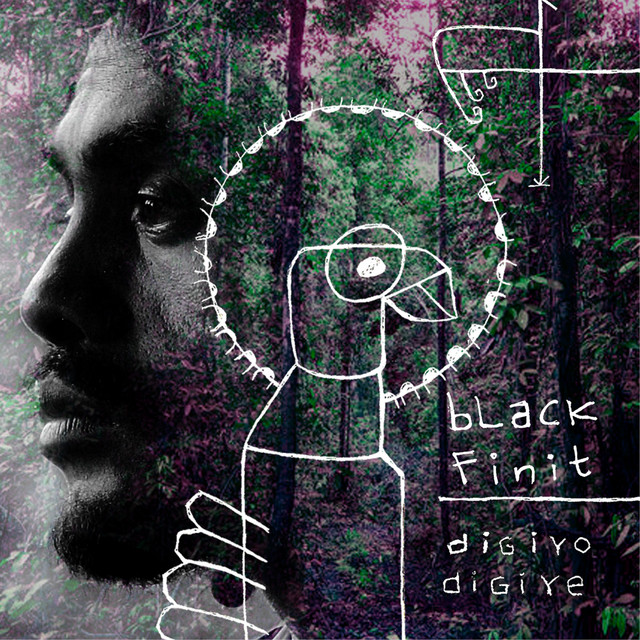 Digiyo Digiye cover art