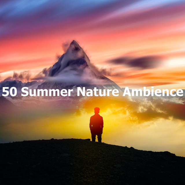 50 Summer Nature Ambience - Album by Mother Earth Sounds | Spotify