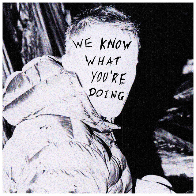 We Know What You're Doing cover art