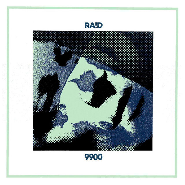 9900 cover art