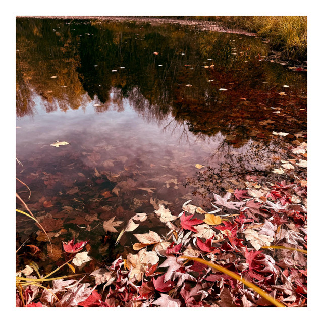 october. cover art