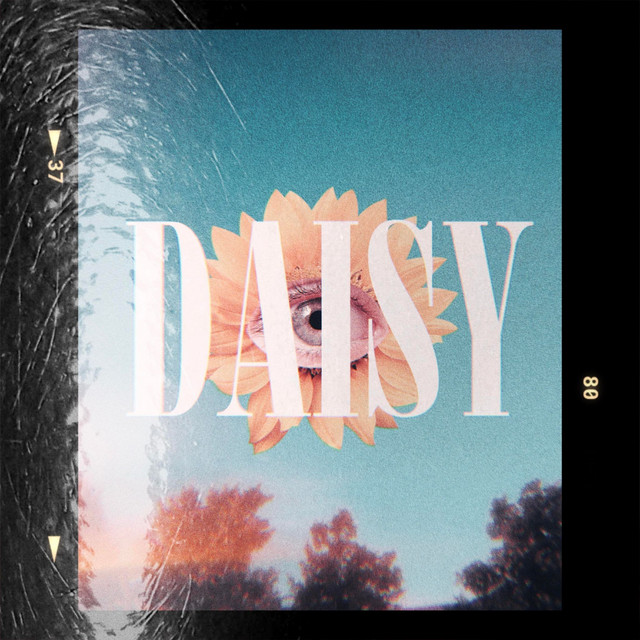 Daisy cover art