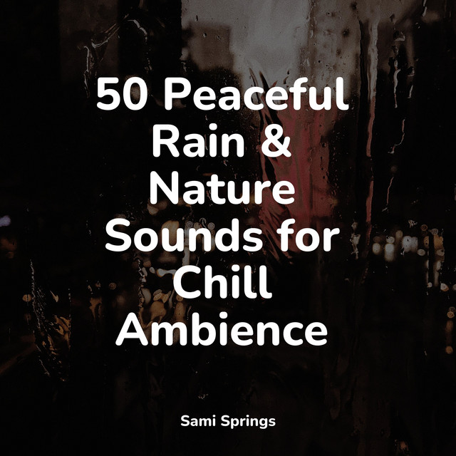 50 Peaceful Rain & Nature Sounds for Chill Ambience - Album by Musique ...