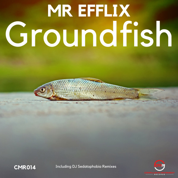 Groundfish - DJ Sedatophobia Remix cover art