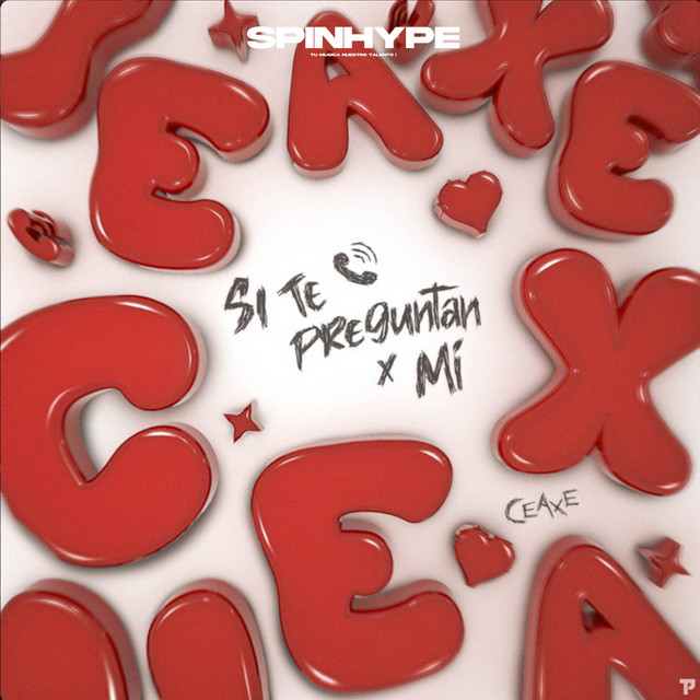 Si te preguntan X Mi cover art