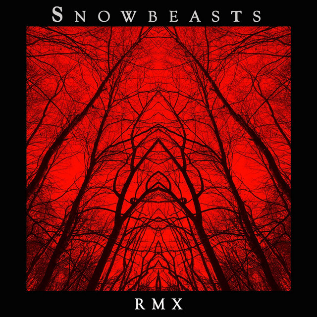 RMX cover art