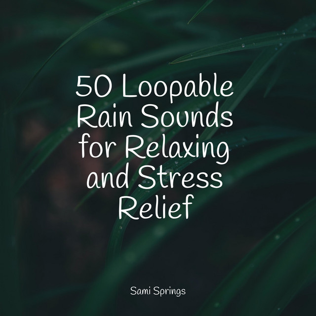 50 Loopable Rain Sounds for Relaxing and Stress Relief - Album by Ruído ...