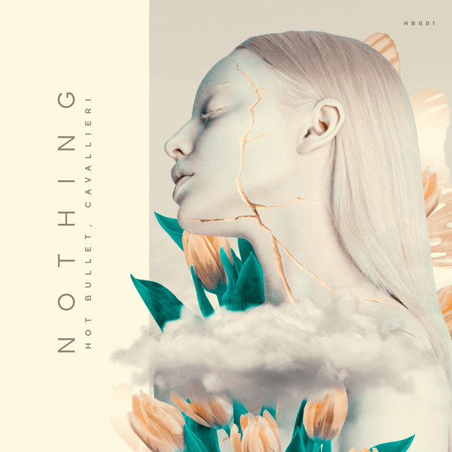Nothing cover art