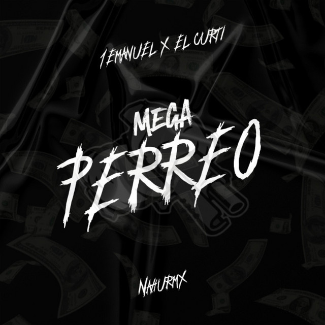 MEGA PERREO