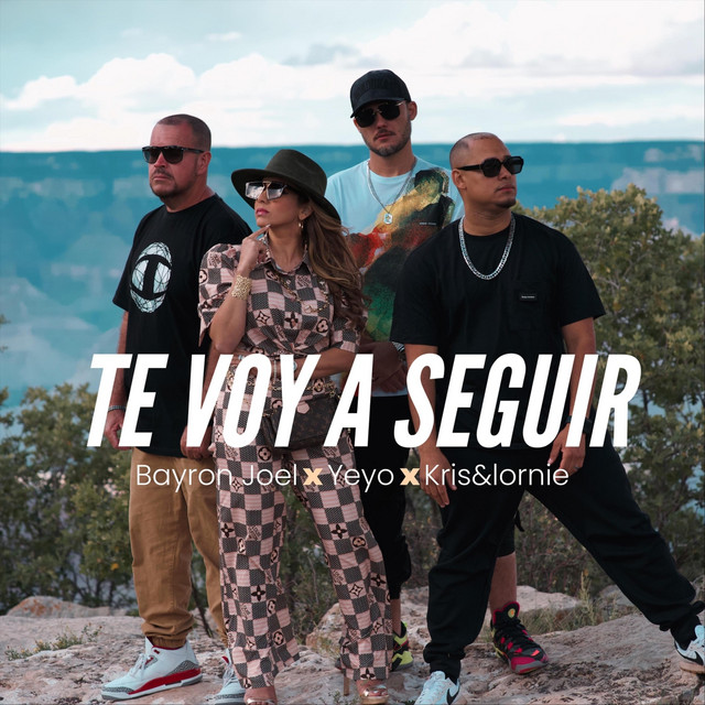 Te Voy a Seguir