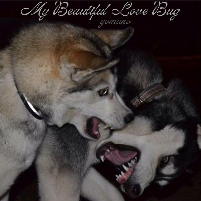 my beautiful love bug cover art