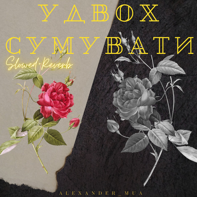 Обкладинка: Удвох сумувати - Slowed+Reverb — ALEXANDER_MUA