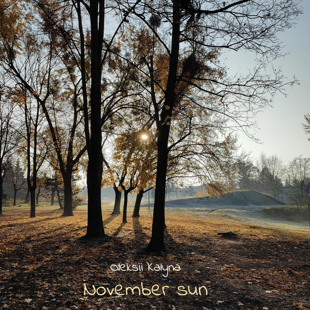 Обкладинка: November sun — Oleksii Kalyna