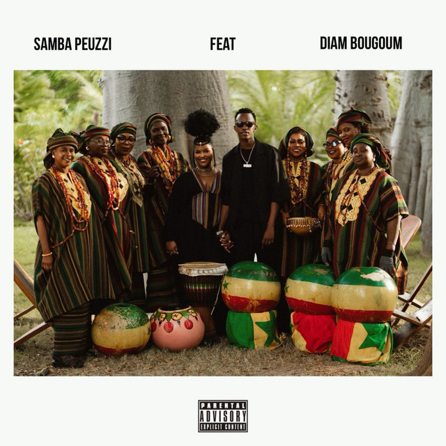 Dama Bardé (feat. Diam Bougoum) album image