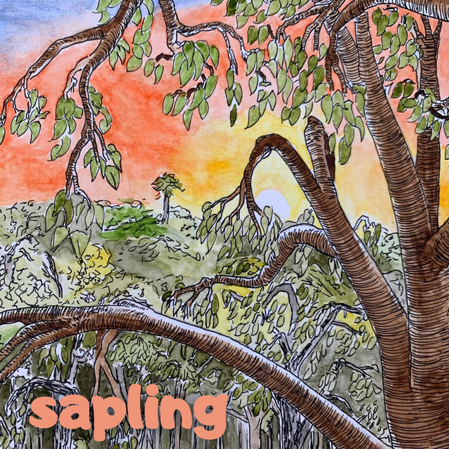 Sapling cover art