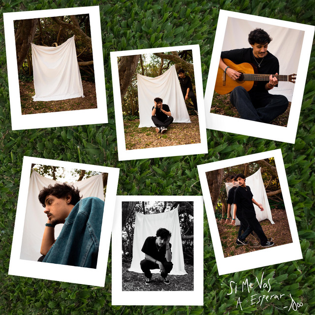 Si Me Vas A Esperar cover art