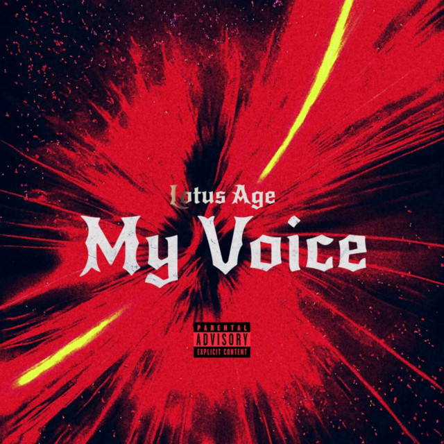 My Voice