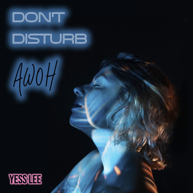don't disturb - awoh