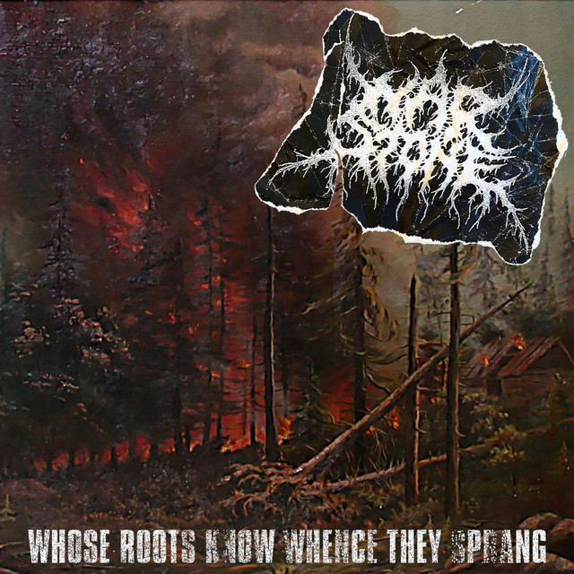 Whose Roots Know Whence They Sprang cover art
