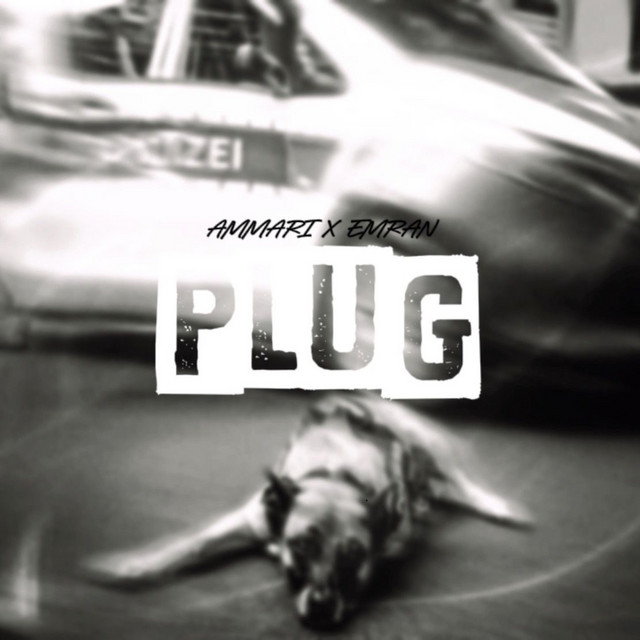 PLUG cover art