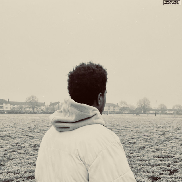 Life Of The Party. cover art