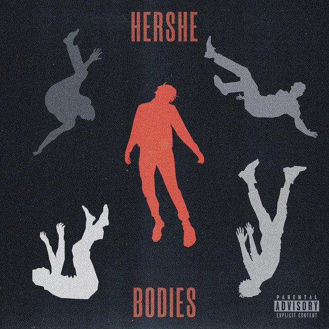 Bodies cover art