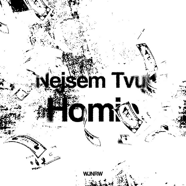 Nejsem Tvuj Homie - song and lyrics by Wojnarrow | Spotify