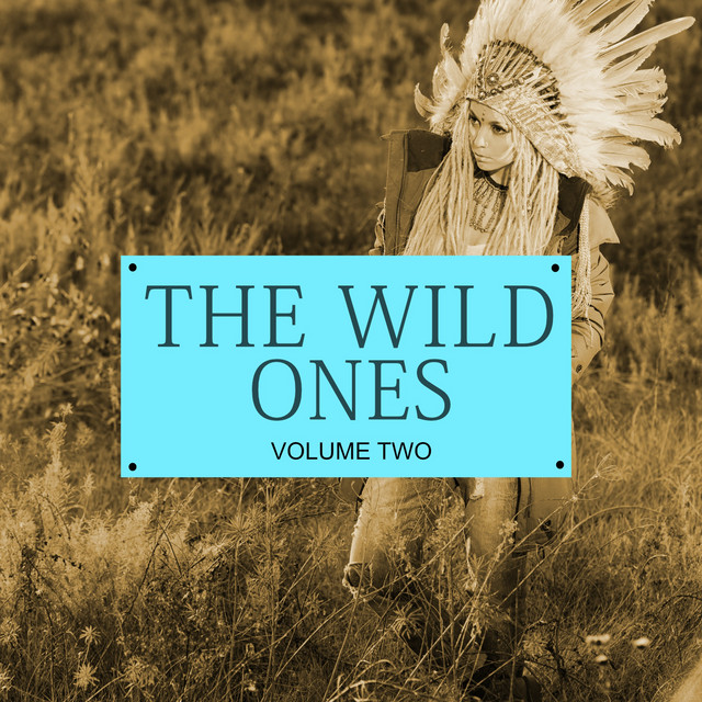 The Wild Ones, Vol. 2 (Finest Of Underground Tunes) - Compilation