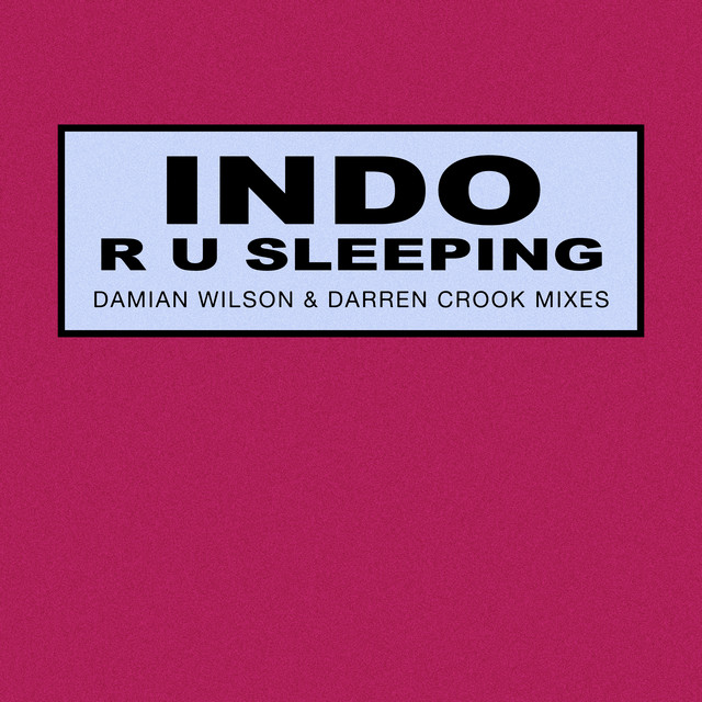 R U Sleeping (Damian Wilson & Darren Crook's Remix) cover