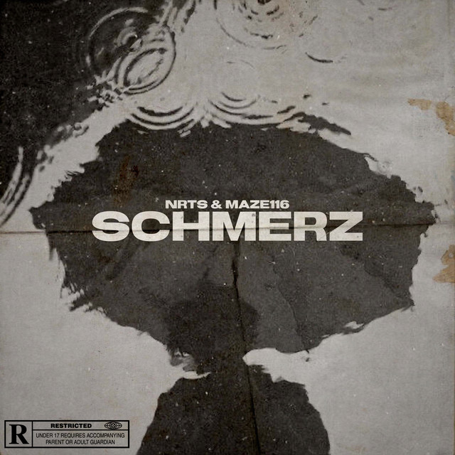 SCHMERZ cover art