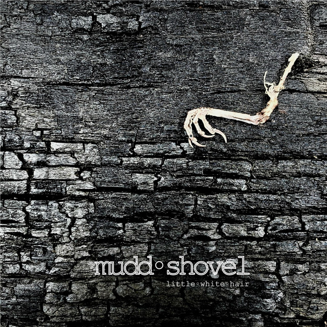Little White Hair cover art