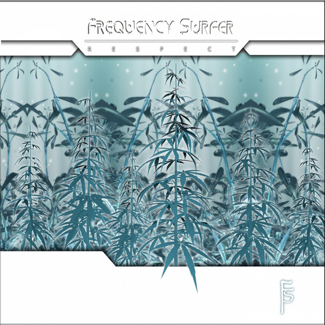 Frequency Surfer Photo