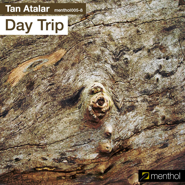 Day Trip cover