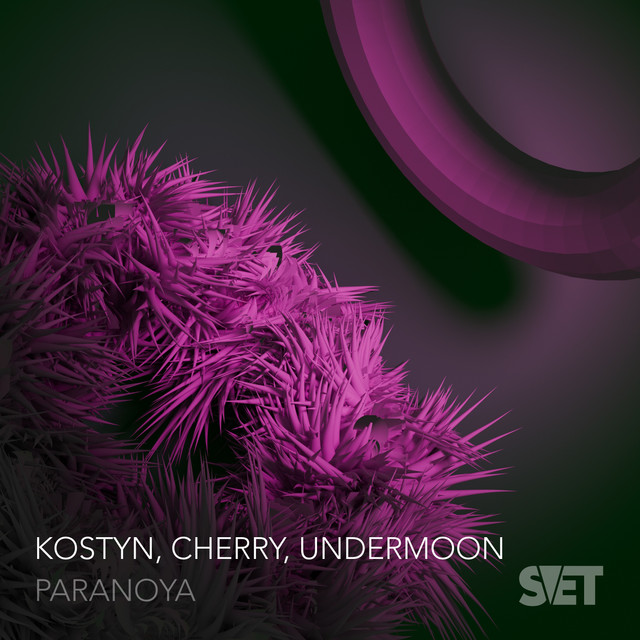 Обкладинка: Paranoya — Kostyn