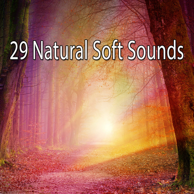 29 Natural Soft Sounds - Album by Sounds of Nature Relaxation | Spotify