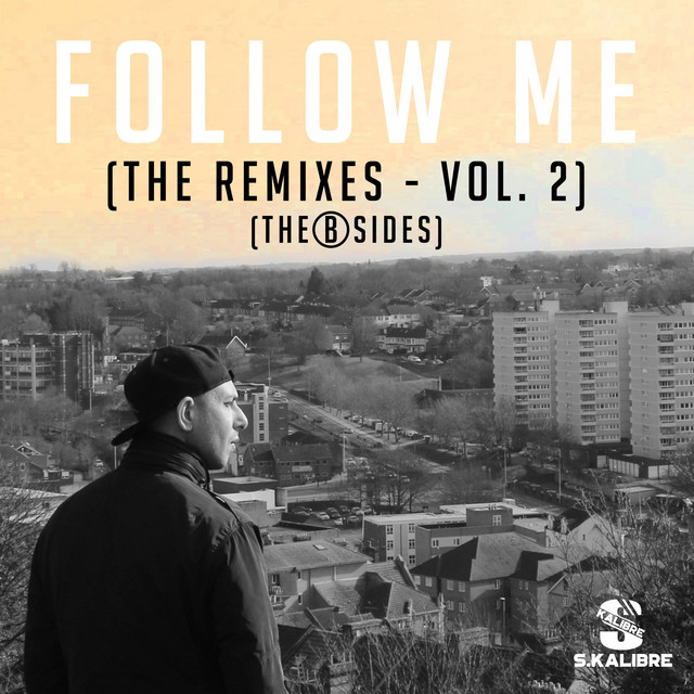 Follow Me (Rediculus) - Remix cover art
