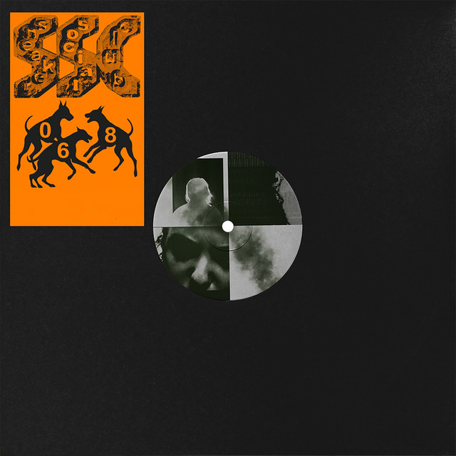 Fake Idols album art