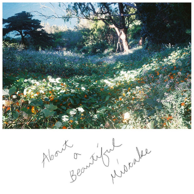 About a Beautiful Mistake cover art