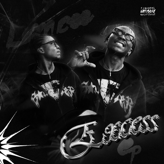 EXCESS cover art